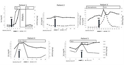 Childhood onset C3 glomerulopathy: recurrence after kidney transplantation—a case series